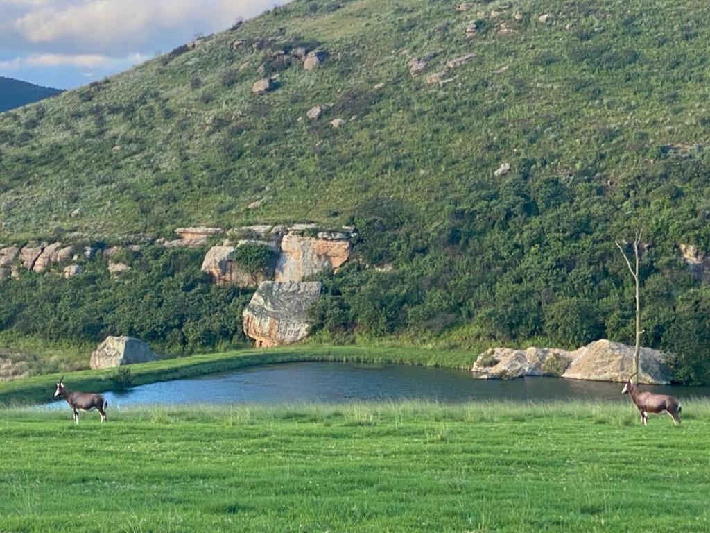 Wetlands Game Lodge Wakkerstroom المظهر الخارجي الصورة