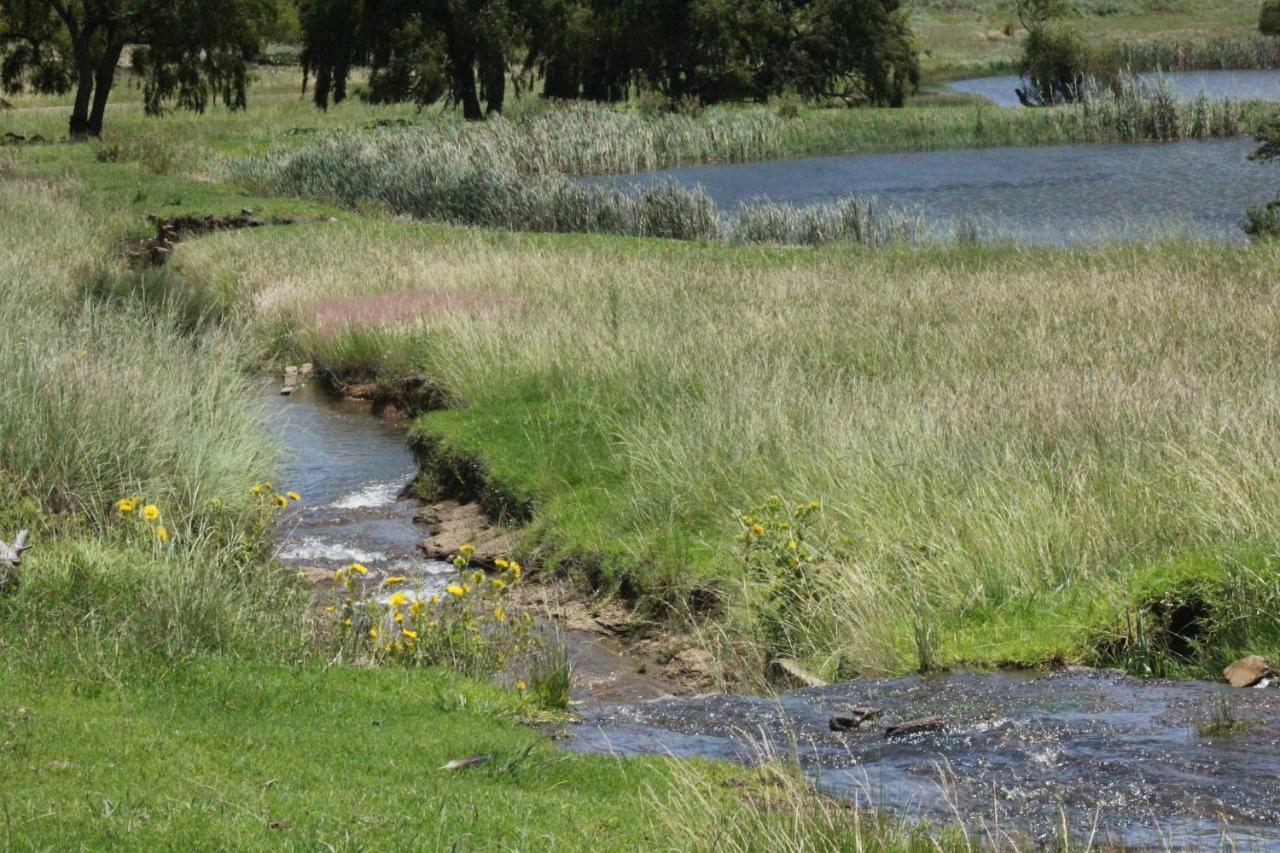 Wetlands Game Lodge Wakkerstroom المظهر الخارجي الصورة