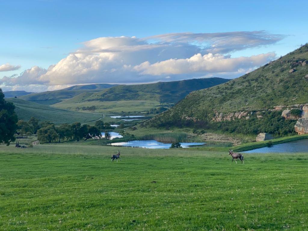 Wetlands Game Lodge Wakkerstroom المظهر الخارجي الصورة