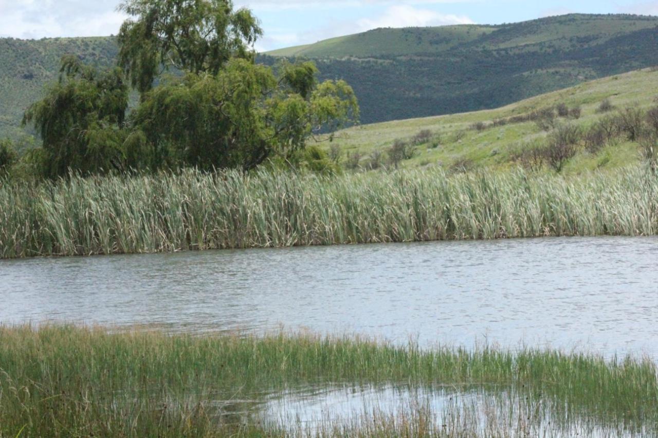 Wetlands Game Lodge Wakkerstroom المظهر الخارجي الصورة